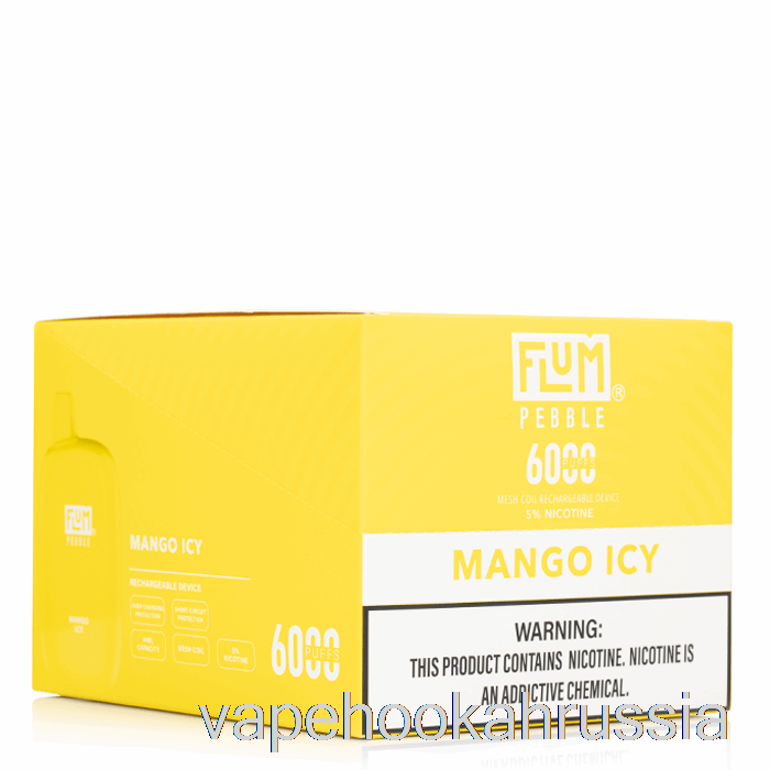 Vape Russia [10 упаковок] Flum Pebble 6000 одноразовый